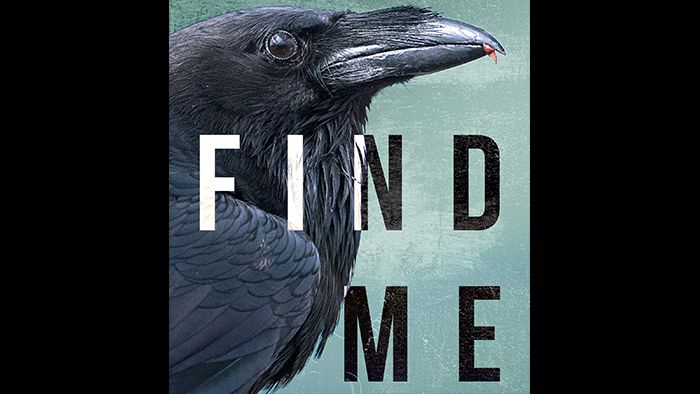Find Me audiobook by Alafair Burke