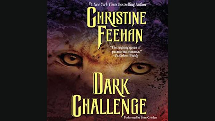 Dark Challenge audiobook - Dark