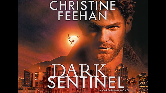 Dark Sentinel audiobook - Dark