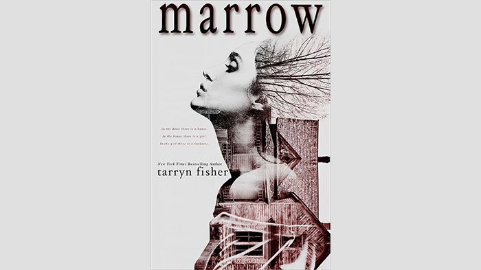 Marrow audiobook by Aditi Brennan Kapil