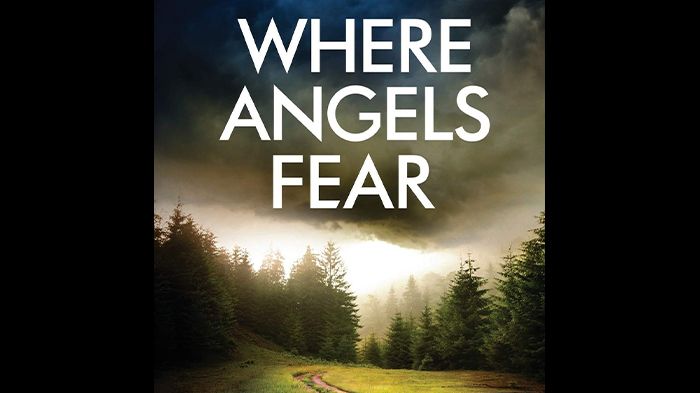 Where Angels Fear audiobook - Detectives Kane and Alton Series
