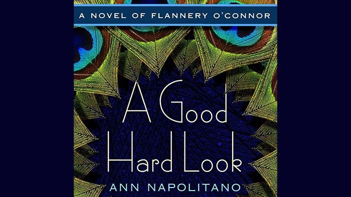 A Good Hard Look audiobook by Ann Napolitano