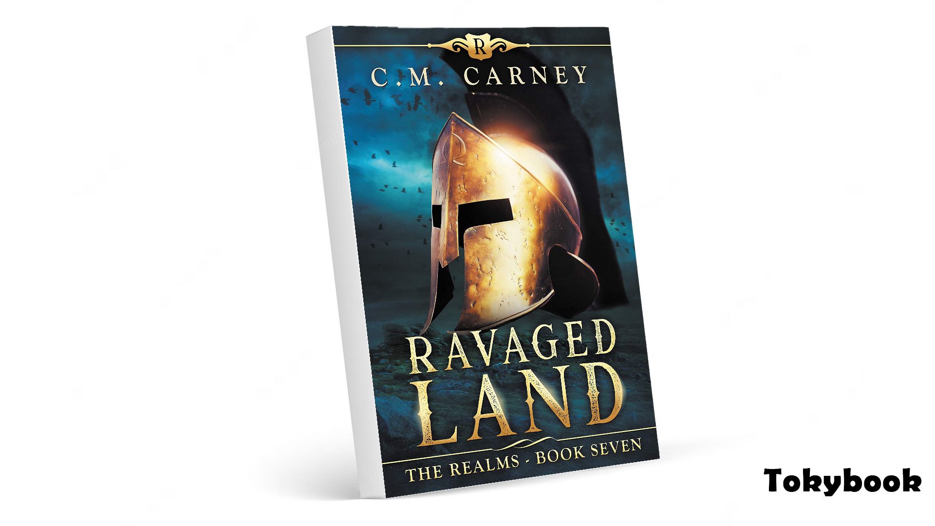Ravaged Land audiobook - The Realms Series