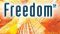 Freedom (TM) audiobook – Daemon, Book 2