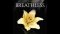 Breathless audiobook by Amy McCulloch